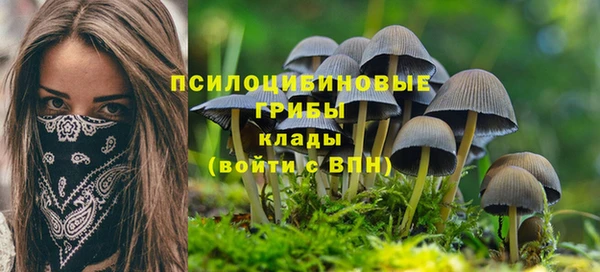 каннабис Баксан